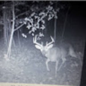 Meet your Posher, Nathan